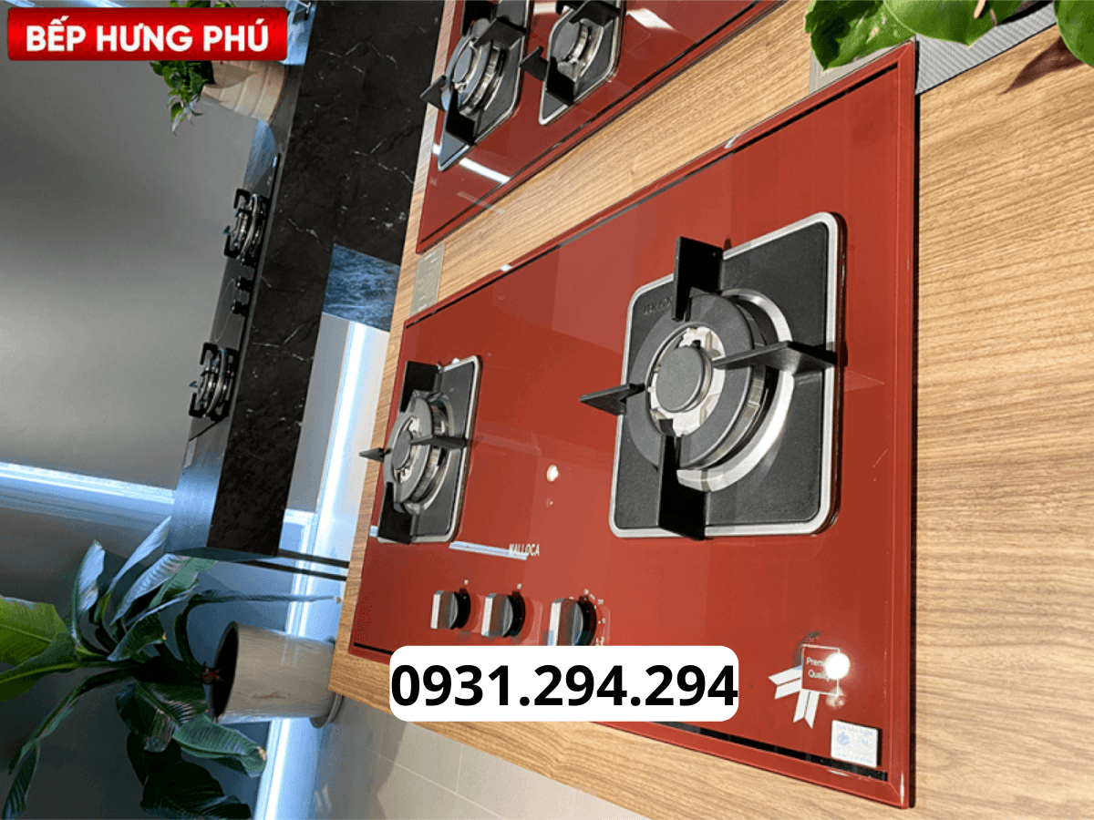 Bếp gas Malloca AS 9402R