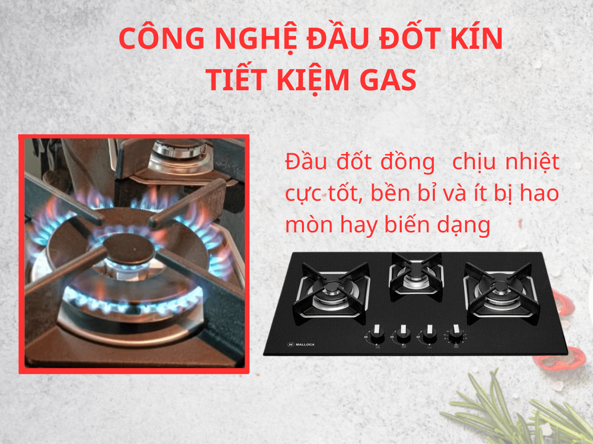Bếp gas Malloca AS 9603B