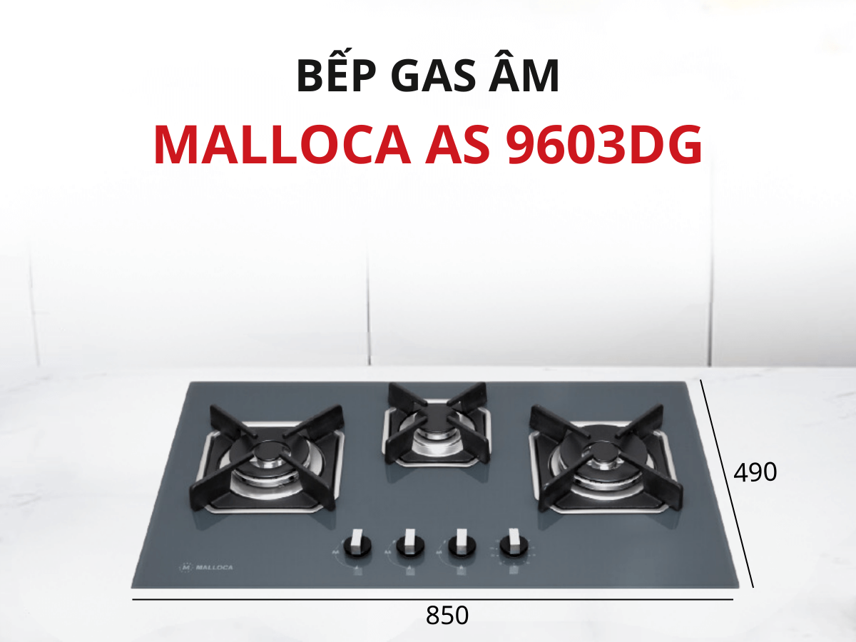 Bếp gas Malloca AS 9603DG