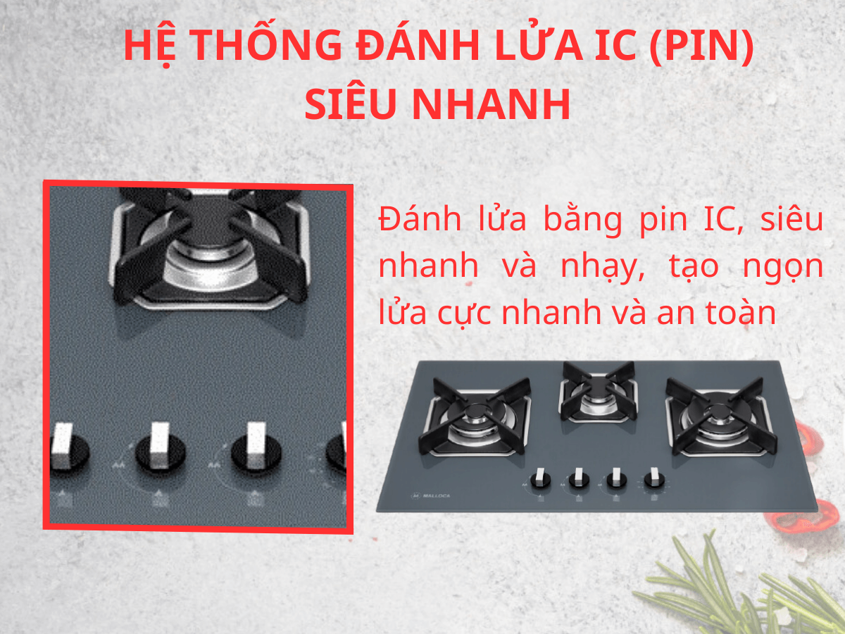 Bếp gas Malloca AS 9603DG