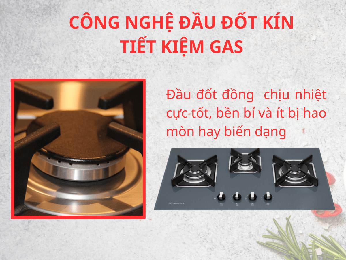 Bếp gas Malloca AS 9603DG
