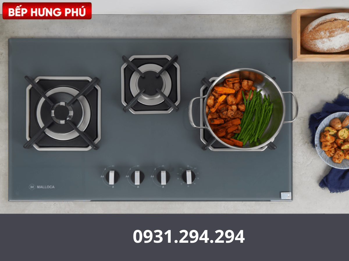 Bếp gas Malloca AS 9603DG