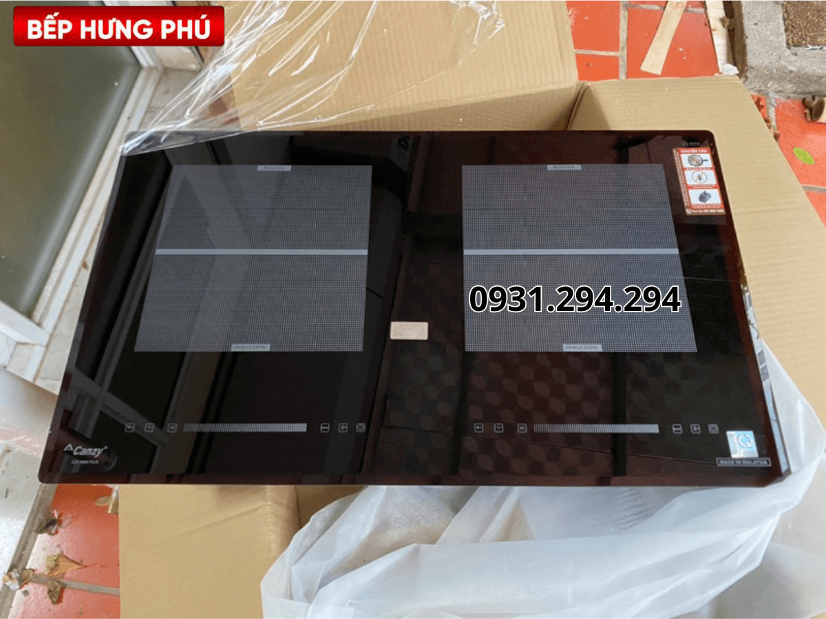 Bếp từ Canzy CZI 9989 Plus