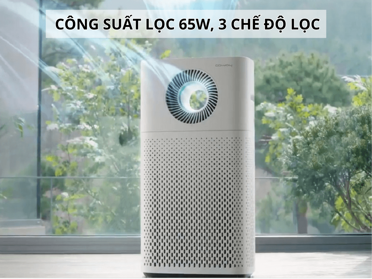 Máy lọc không khí Coway AP-1516D
