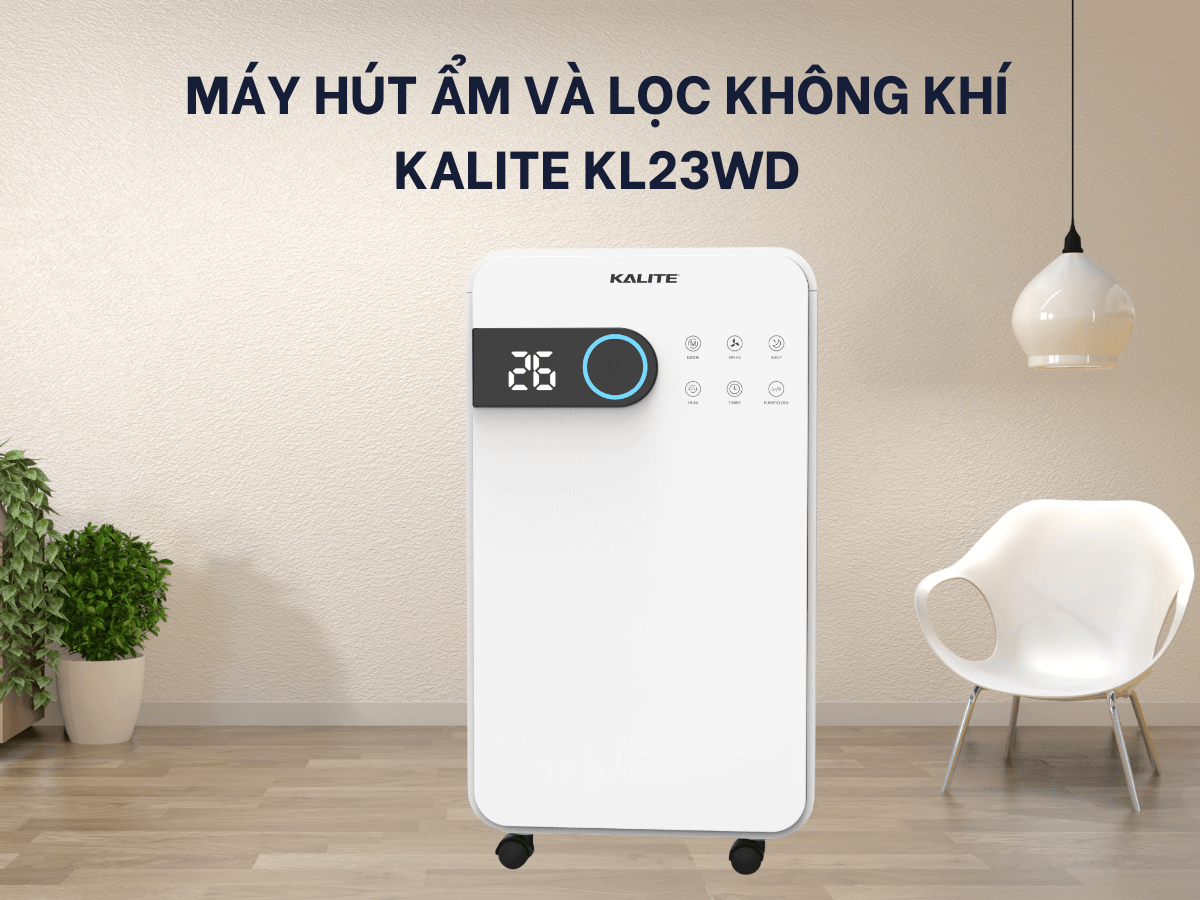Máy hút ẩm kết hợp lọc không khí 2 trong 1 hiện đại, sang trọng