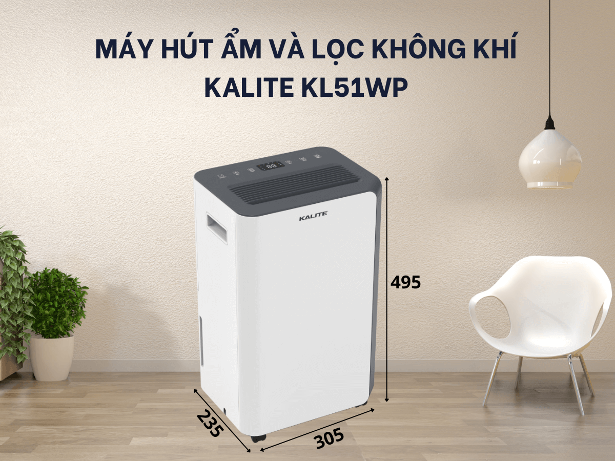 Máy hút ẩm kết hợp lọc không khí 2 trong 1 hiện đại, sang trọng