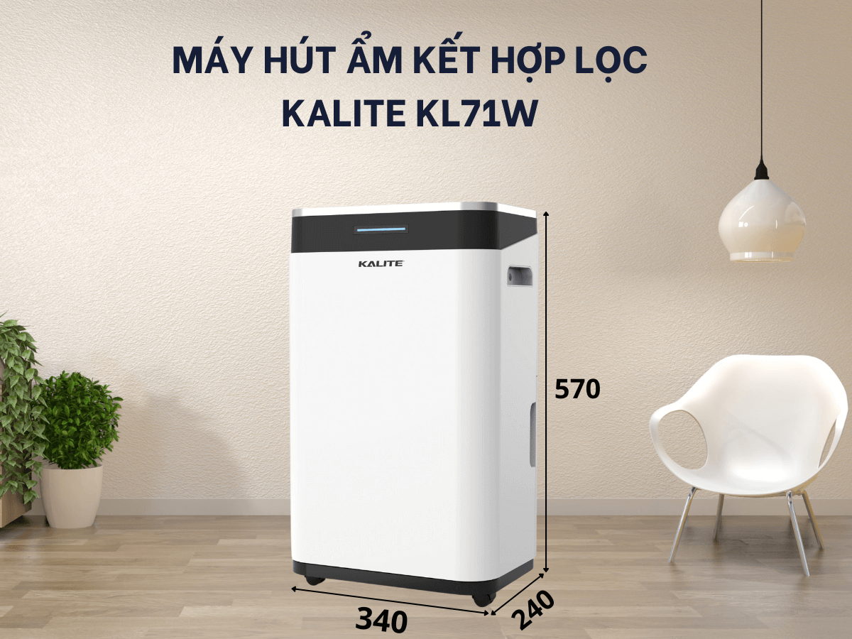 Máy hút ẩm kết hợp lọc không khí 2 trong 1 hiện đại, sang trọng