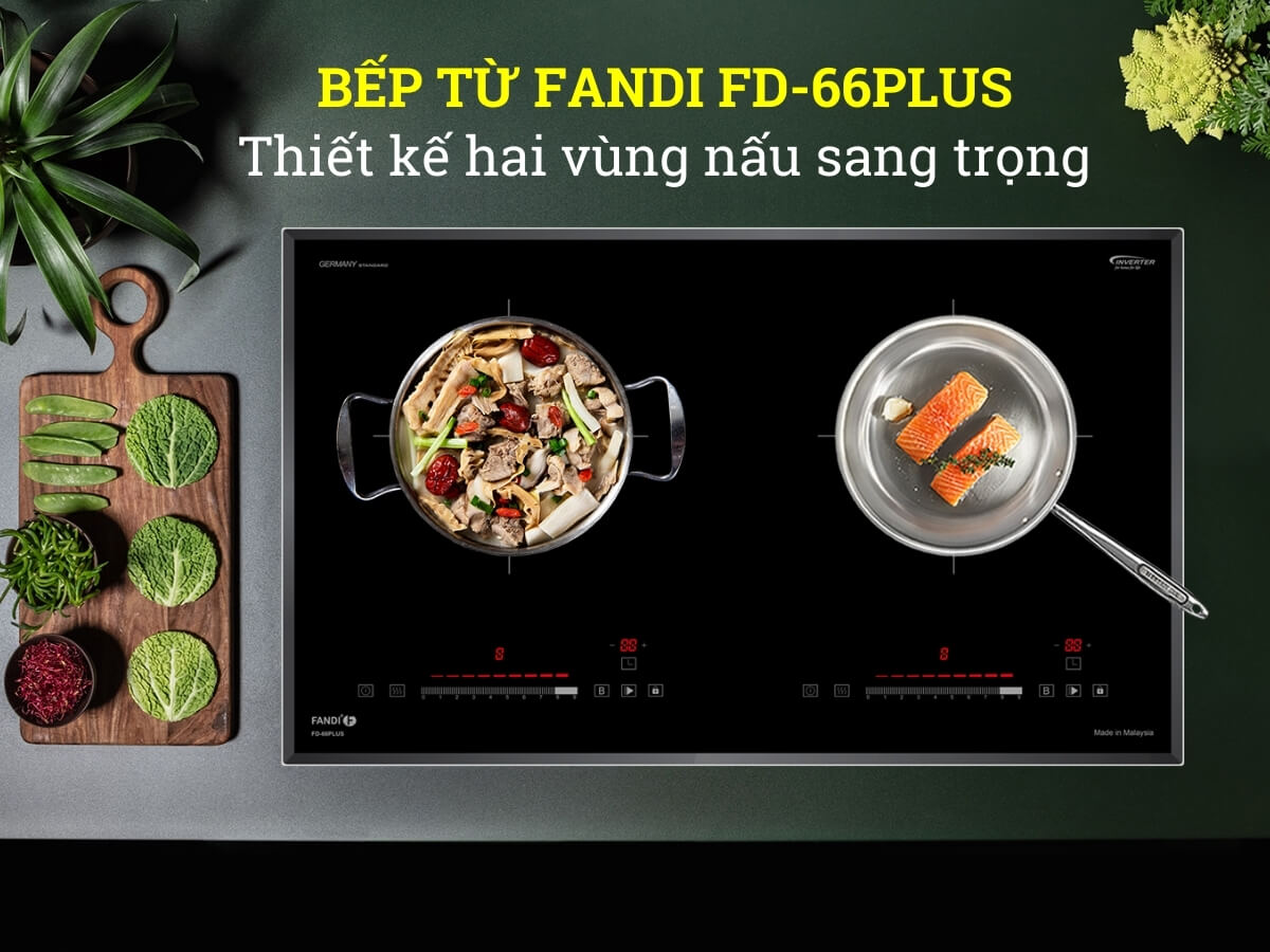 Bếp từ Fandi FD-66plus thiết kế lắp âm hiện đại, sang trọng