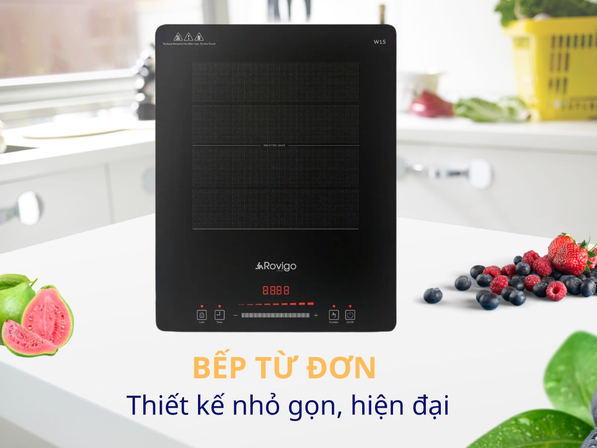 bếp từ đơn rovigo w15