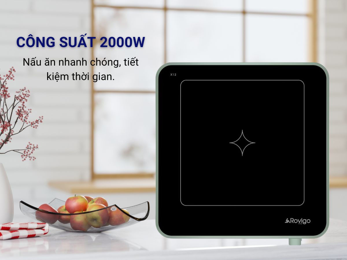 bếp từ đơn rovigo x12
