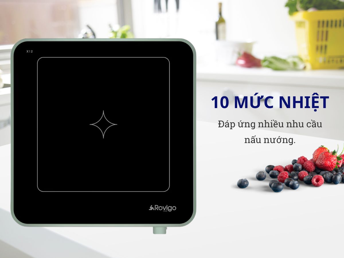 bếp từ đơn rovigo x12
