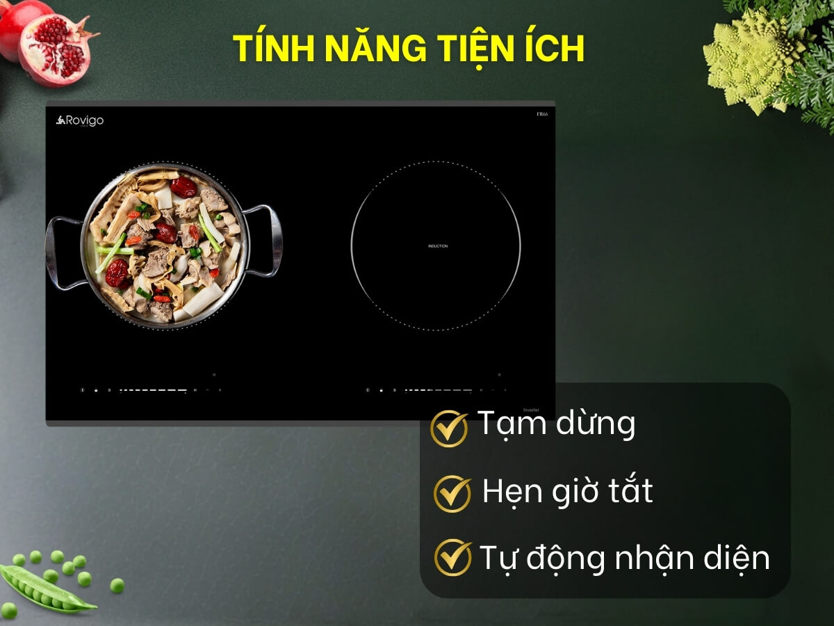 bếp từ rovigo fr66