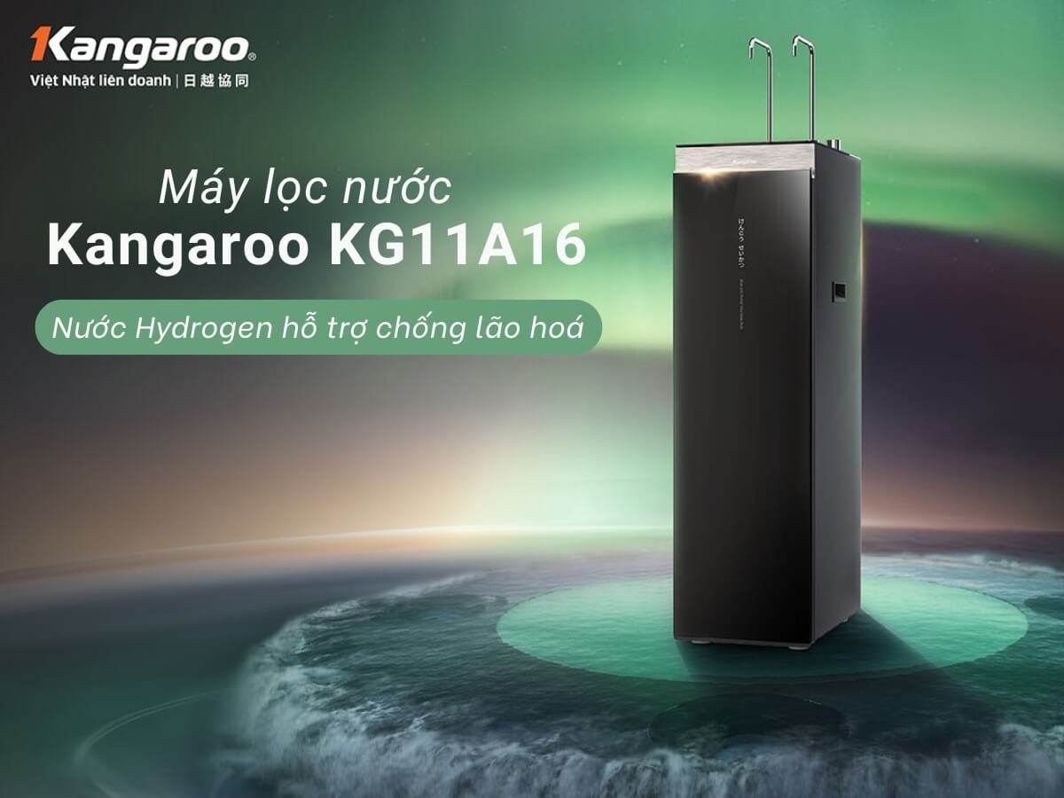 Máy lọc nước Kangaroo KG11A16 thiết kế hiện đại, sang trọng