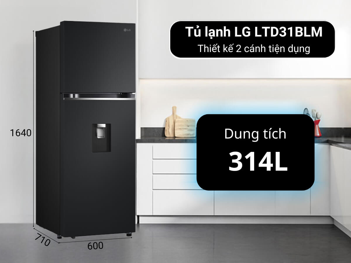 Tủ lạnh LG LTD31BLM thiết kế 2 cánh tiện dụng, sang trọng