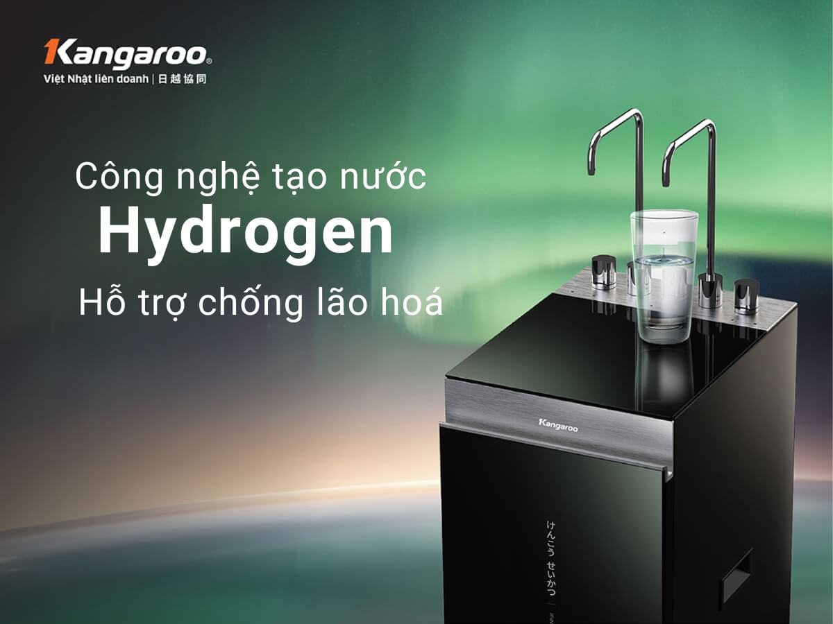 Máy lọc nước Kangaroo KG12A6