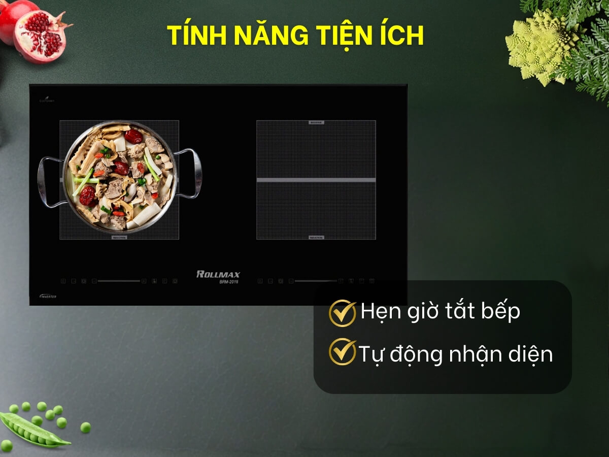 bếp từ rollmax brm-201ii