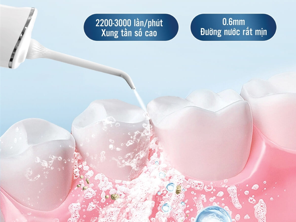 máy tăm nước tapuho twt2024