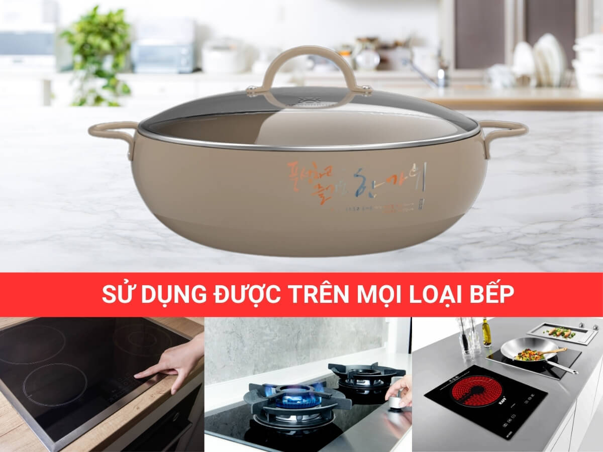nồi lẩu hawonkoo cwh-001-cf