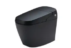Bồn cầu điện tử
