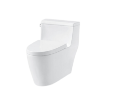 Bồn cầu một khối Hafele Iconic (588.79.401)