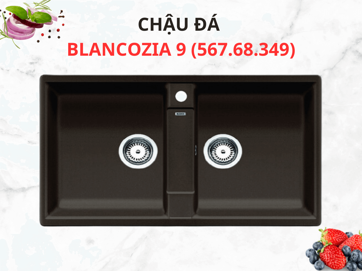 Chậu đá Blancozia 9 (567.68.349)