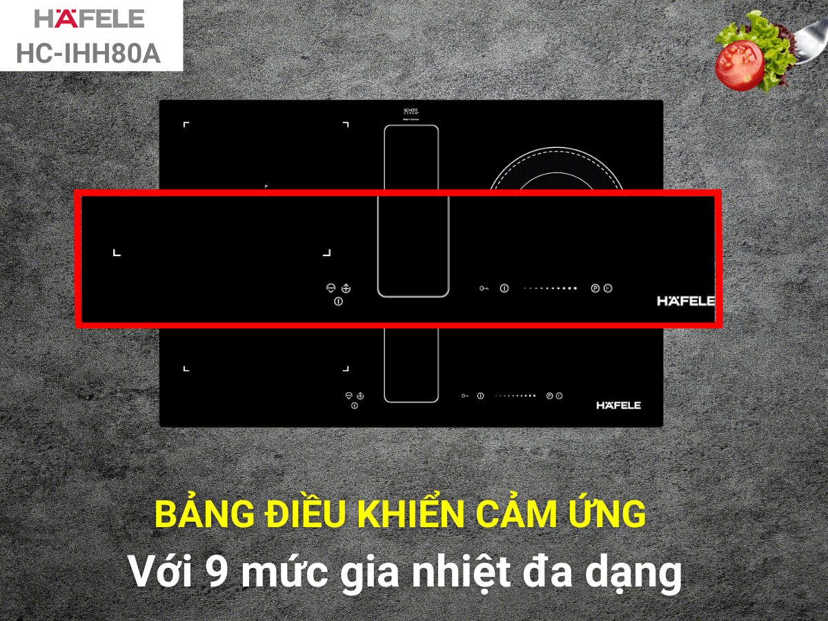 Bếp điện từ kết hợp hút mùi Hafele HC-IHH80A (539.66.698)