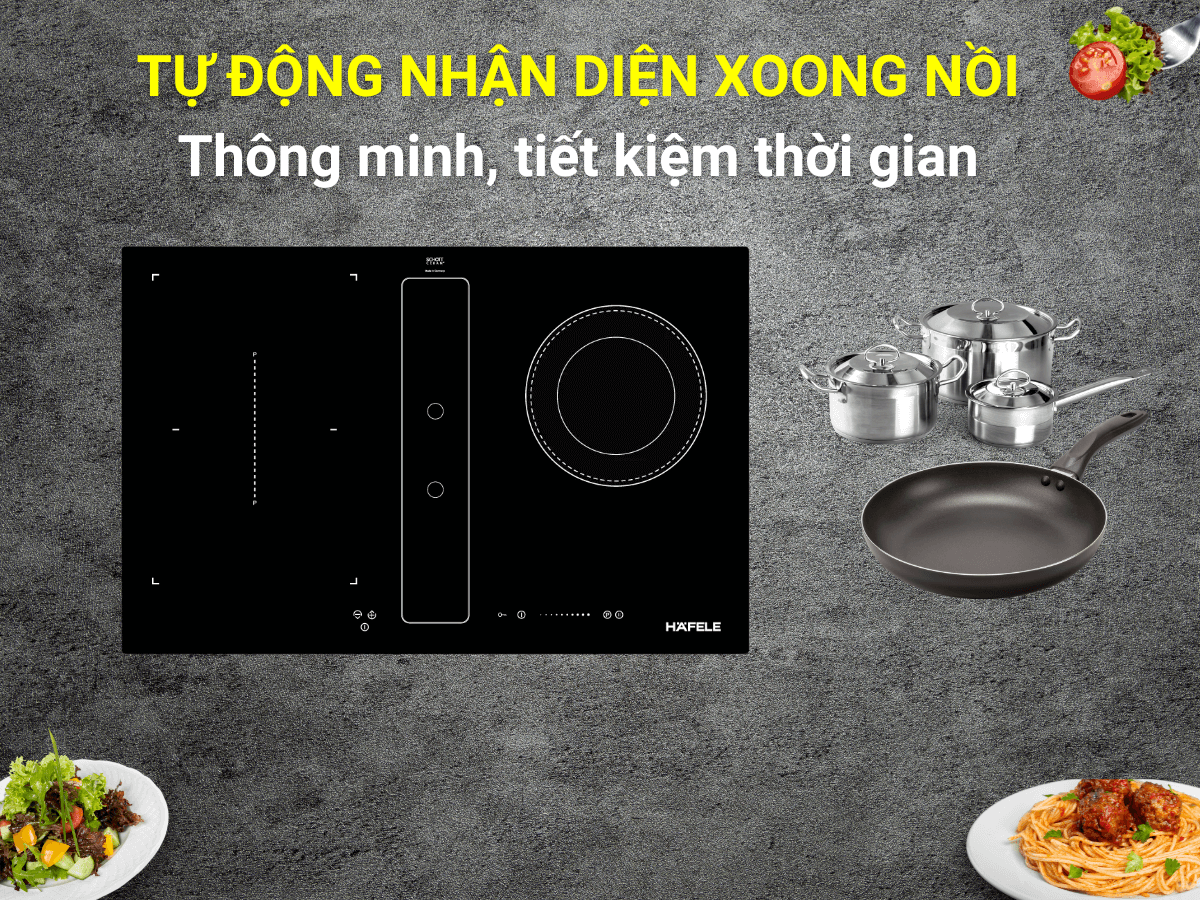 Bếp điện từ kết hợp hút mùi Hafele HC-IHH80A (539.66.698)