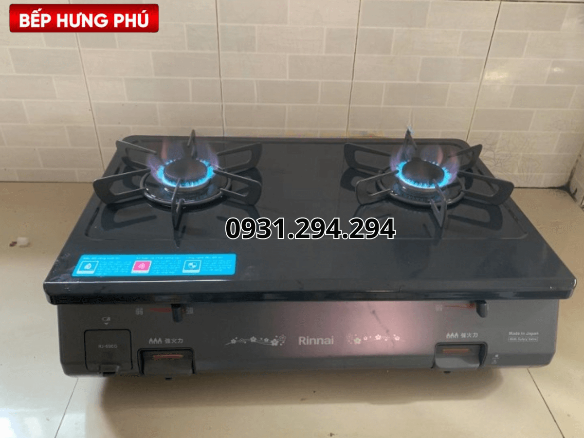 Bếp gas Rinnai RJ-69EG