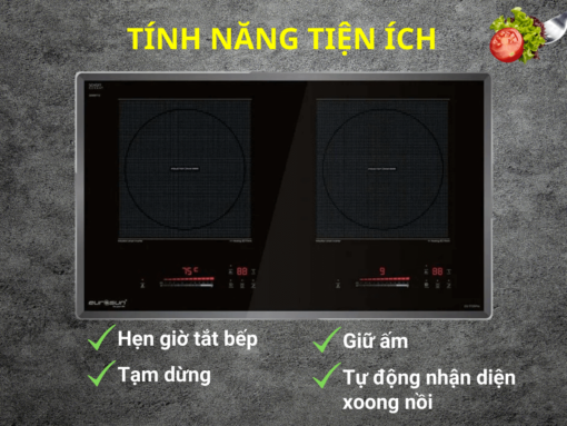 Bếp từ Eurosun EU-T726PRO