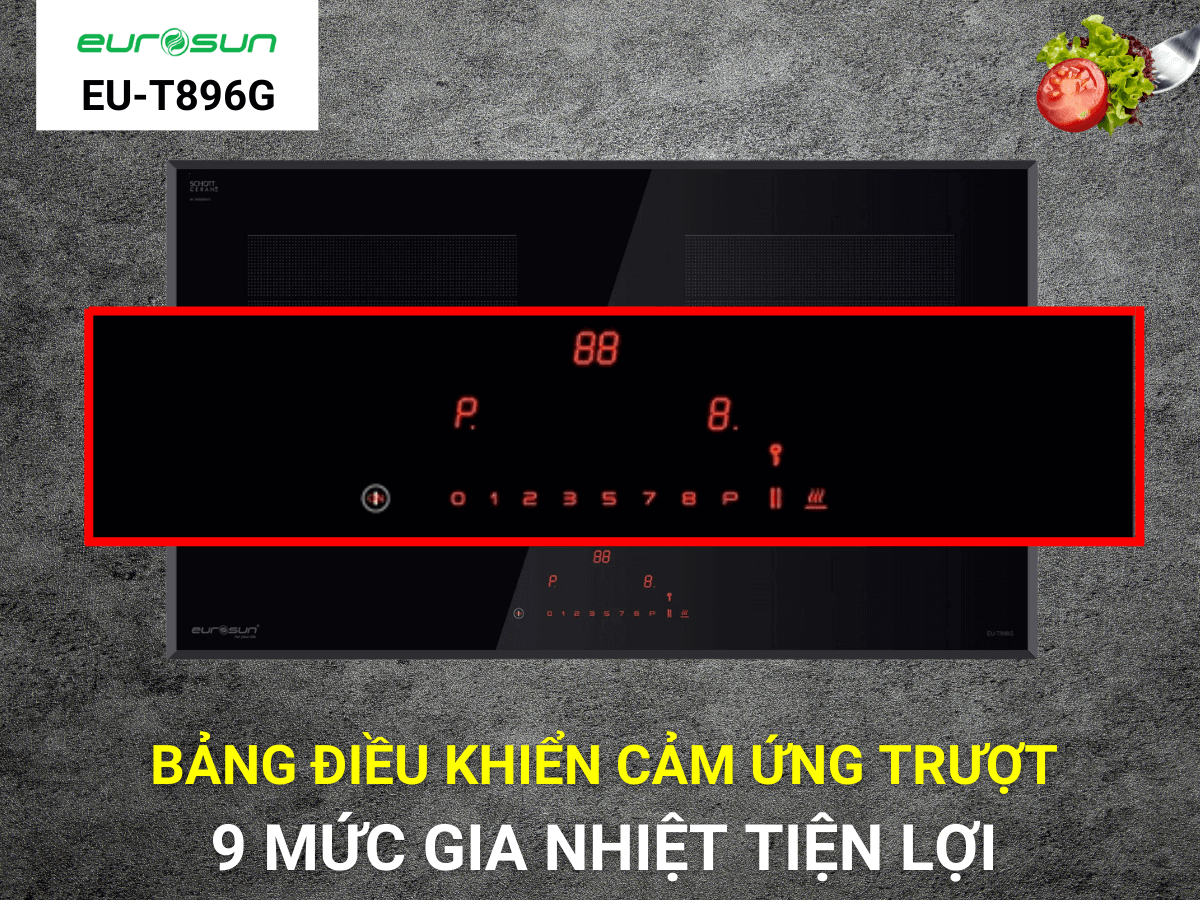 bếp từ eurosun eu-t896g
