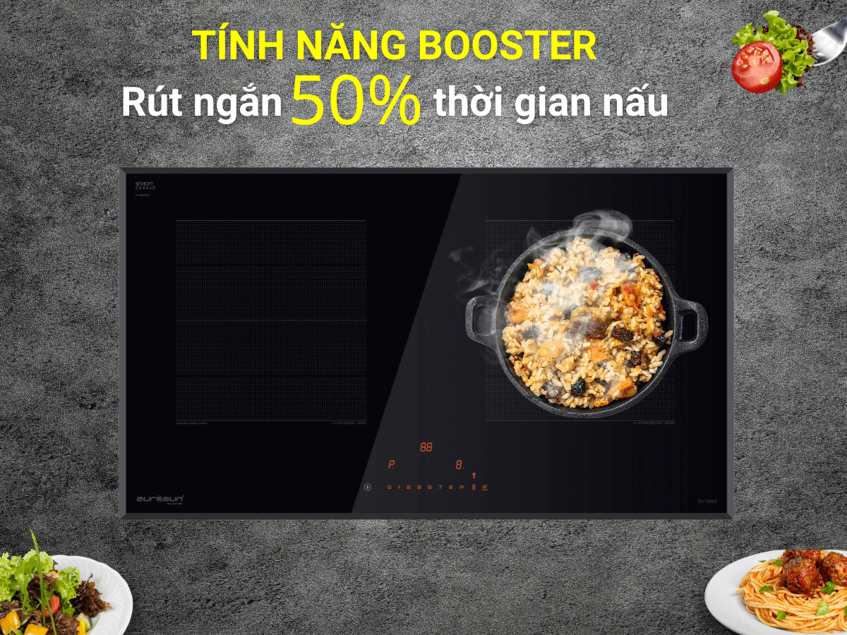 bếp từ eurosun eu-t896g