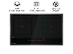 Bếp từ Eurosun EU-T899G