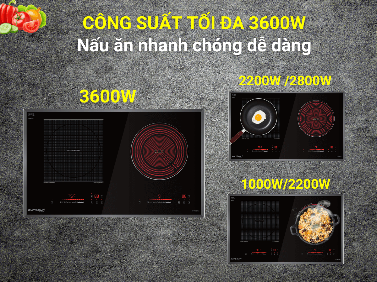 Bếp điện từ Eurosun EU-TE728Pro