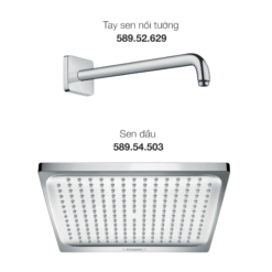 Trọn Bộ Sen Đầu Raindance Crometta E (589.52.675)