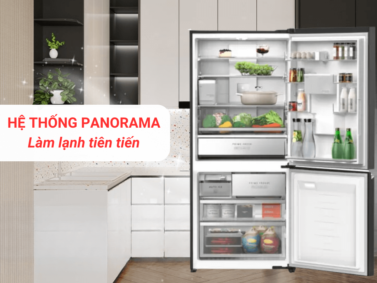 Tủ lạnh Panasonic NR-BW530XMMV (500L)