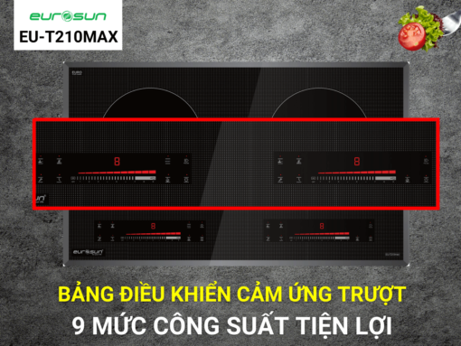 bếp từ eurosun eu-t210max