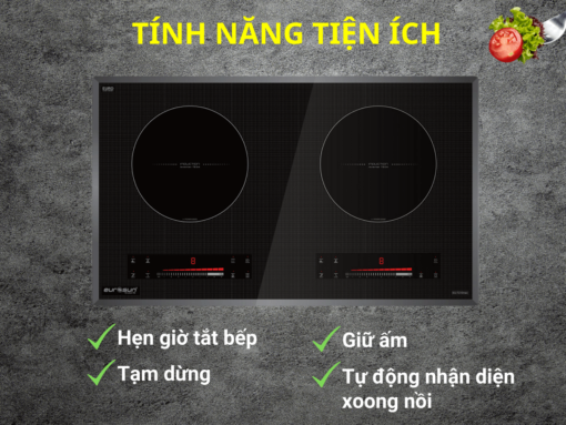 bếp từ eurosun eu-t210max