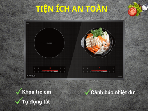 bếp từ eurosun eu-t210max