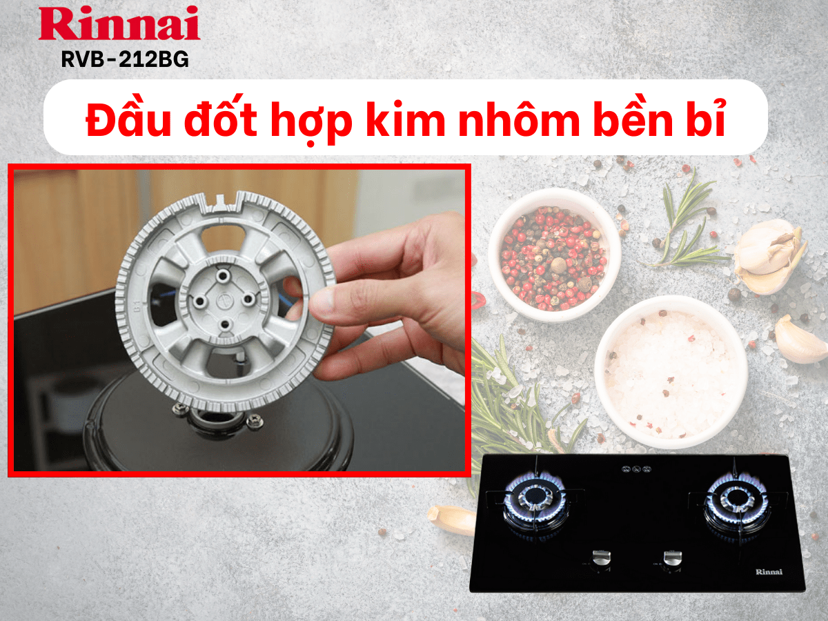 Bếp gas âm Rinnai RVB-212BG