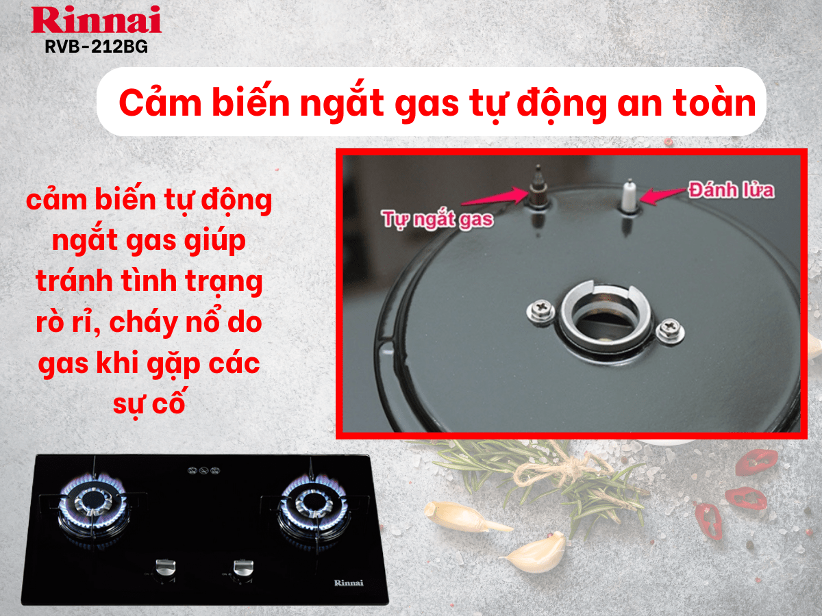 Bếp gas âm Rinnai RVB-212BG