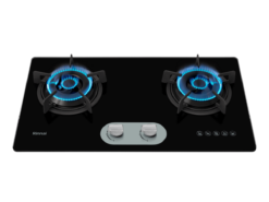 Bếp gas âm Rinnai RVB-220G(BG)