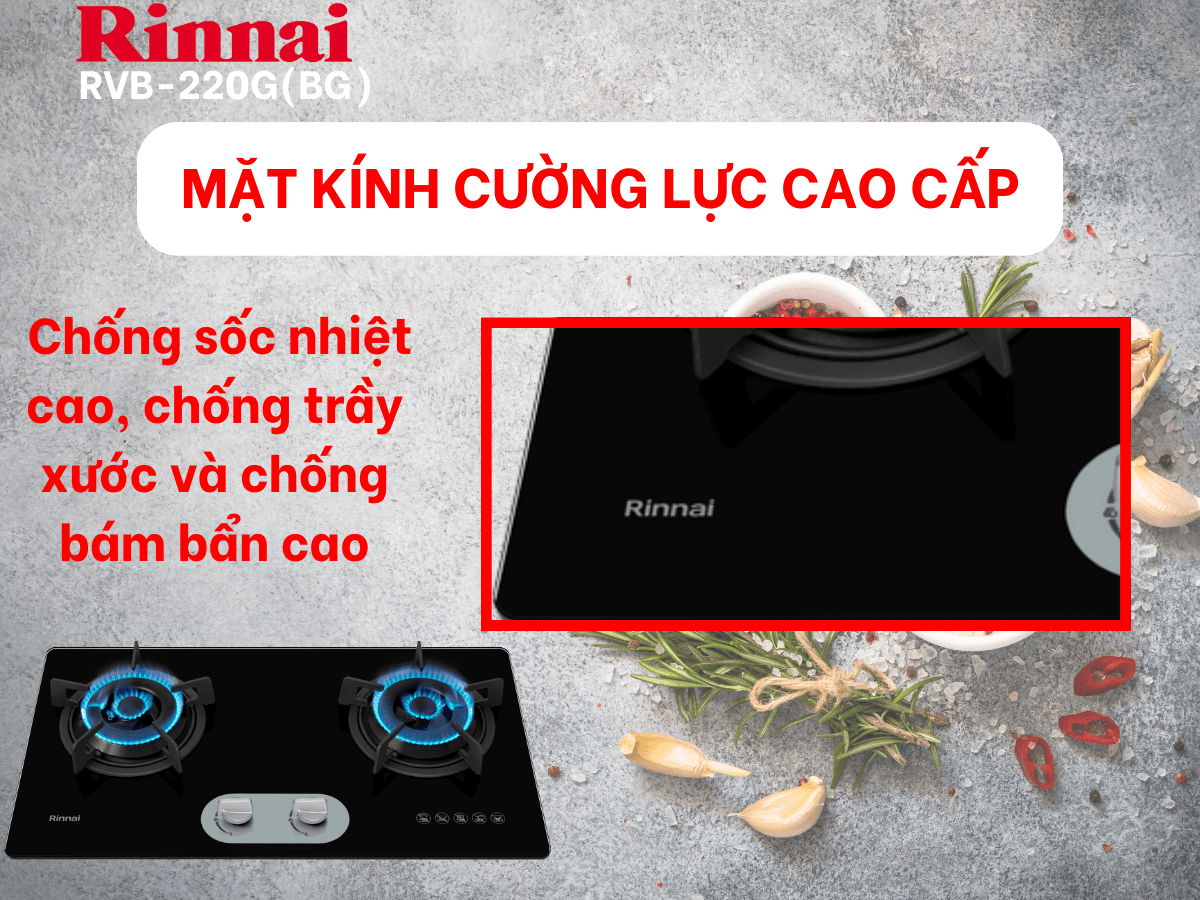 Bếp gas âm Rinnai RVB-220G(BG)