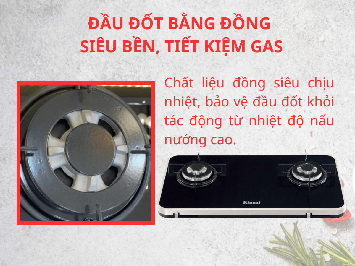 Bếp gas Rinnai RB-7902S-GBS