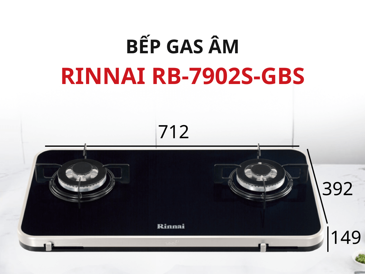 Bếp gas Rinnai RB-7902S-GBS
