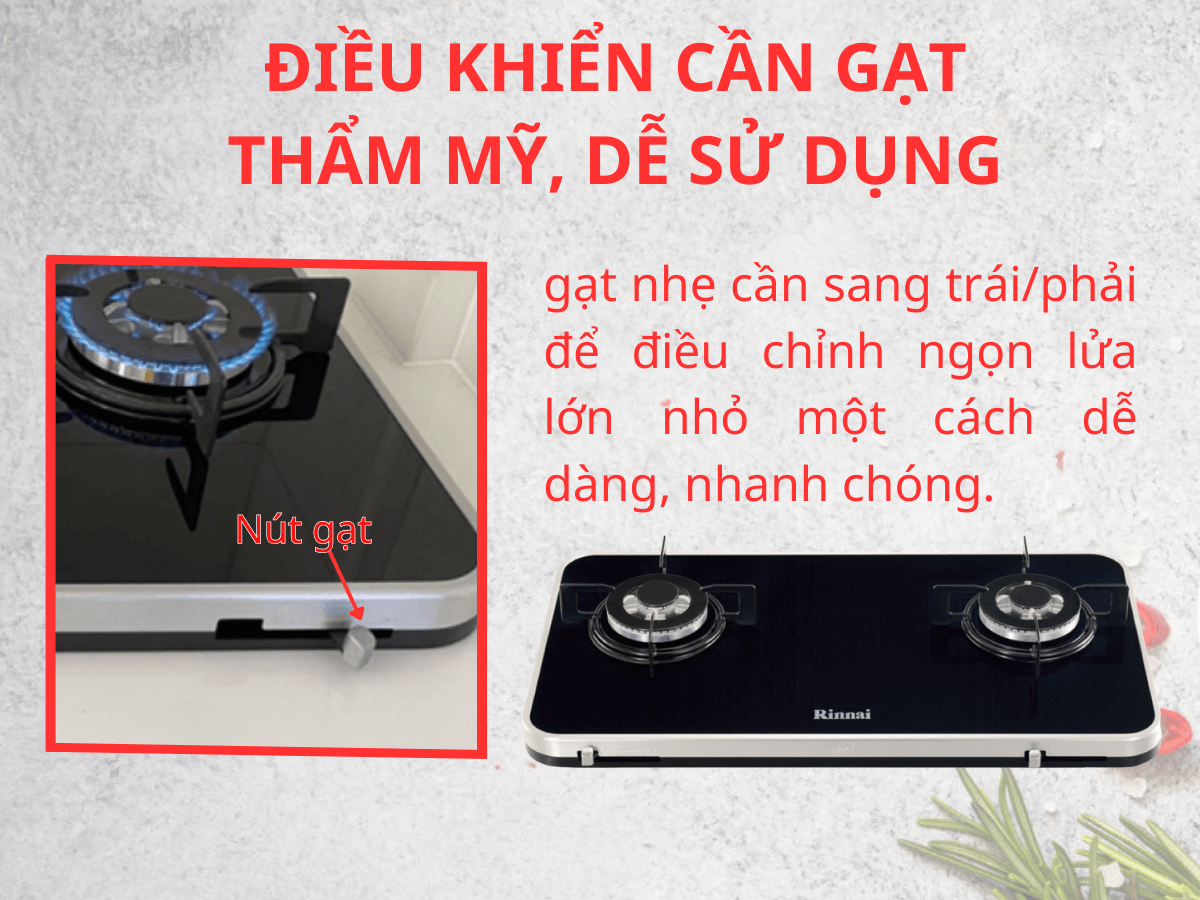 Bếp gas Rinnai RB-7902S-GBS