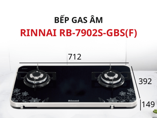 Bếp gas Rinnai RB-7902S-GBS9(F) thiết kế lắp âm sang trọng