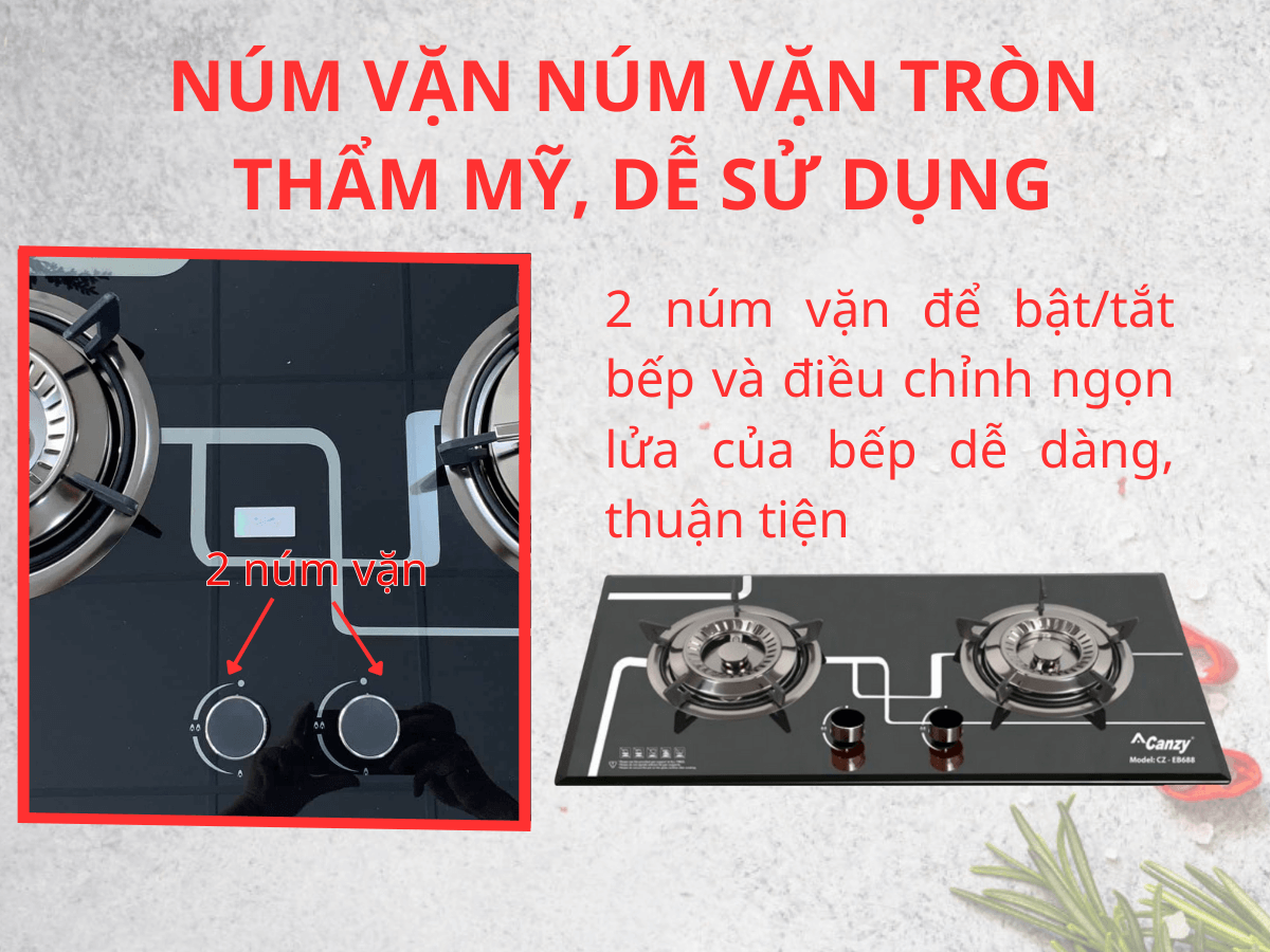 Bếp Gas Canzy CZ EB688
