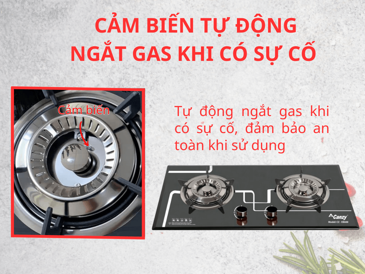 Bếp Gas Canzy CZ EB688