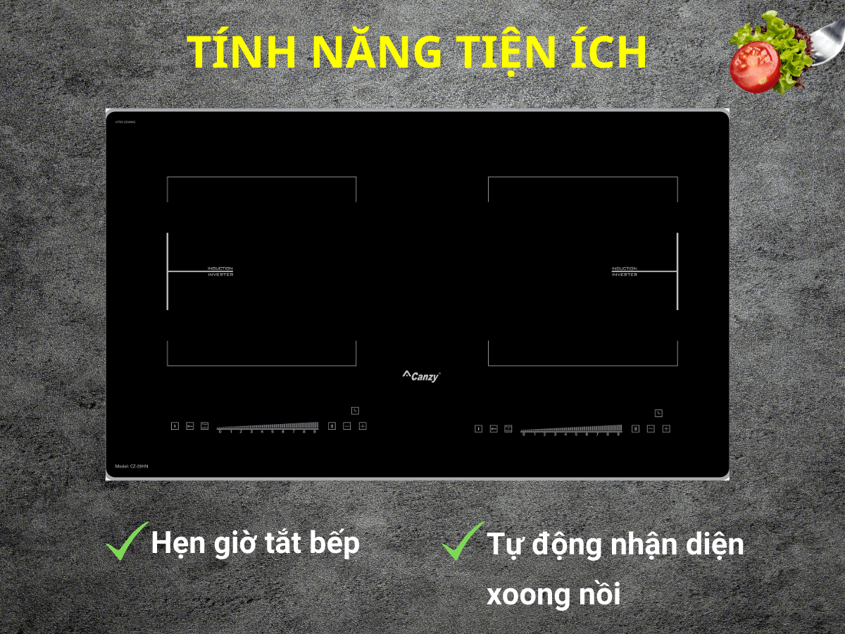 bếp từ canzy cz 29hn