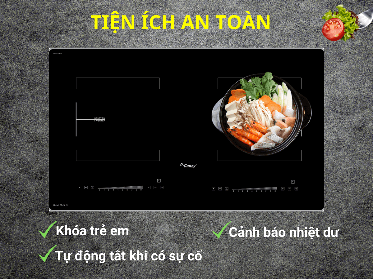 bếp từ canzy cz 29hn